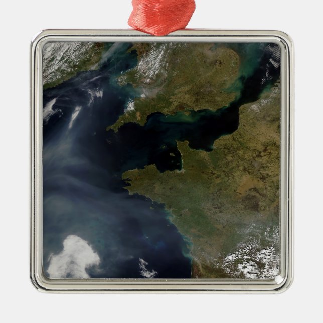Adorno Metálico Contaminación de Francia (Frente)