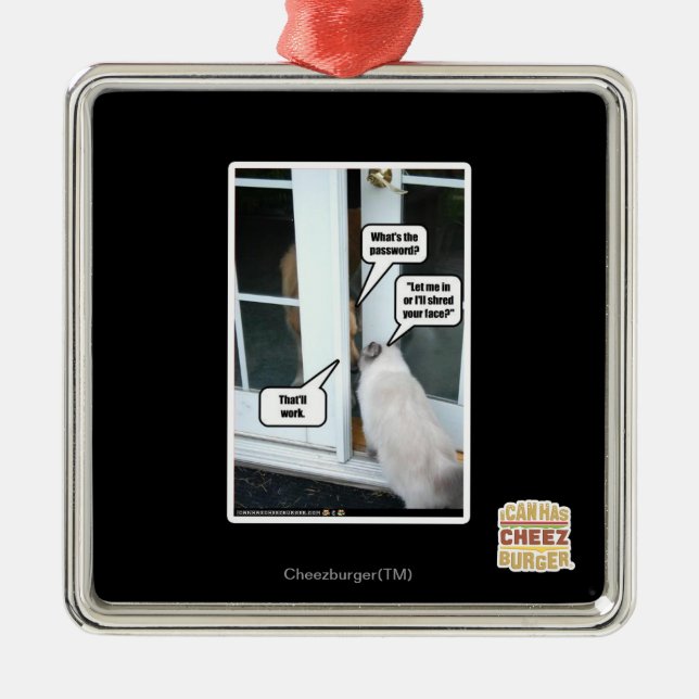 Adorno Metálico Contraseña Por Favor (Frente)