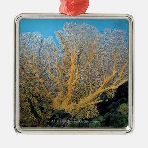 Adorno Metálico Coral de Gorgonian