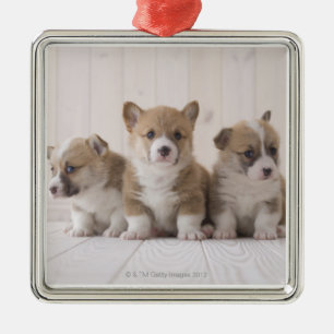 Adorno Metálico Corgi de tres Galés