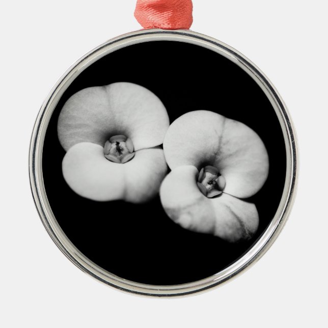 Adorno Metálico corona de espinas (Frente)