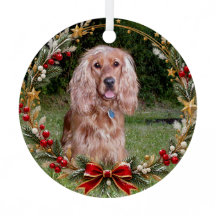Corona de Navidad con Foto de Mascota Personalizad
