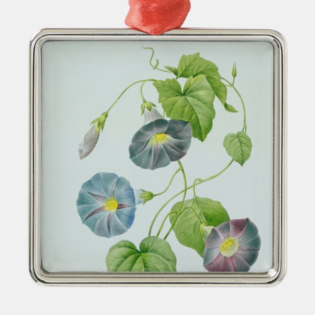 Adorno Metálico Correhuela (Frente)