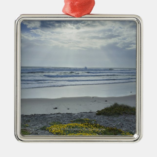 Adorno Metálico Costa costa de España con las flores y los haces (Frente)