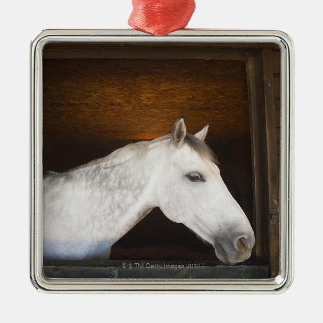 Adorno Metálico costa del benalamadena, Málaga, Costa del Sol, 2 (Frente)