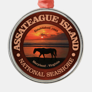 Adorno Metálico Costa del nacional de la isla de Assateague