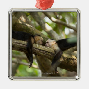 Adorno Metálico Costa Rica, dos monos que descansan sobre el