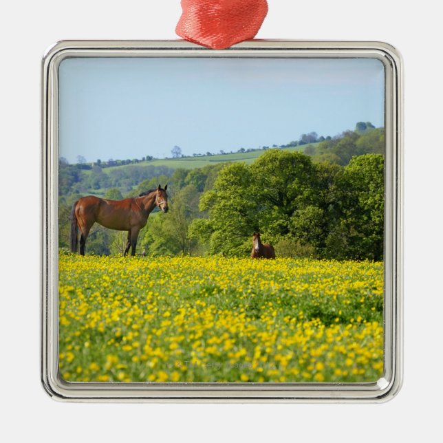 Adorno Metálico Cotswolds, Reino Unido (Frente)