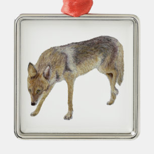 Adorno Metálico Coyote