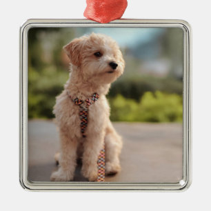Adorno Metálico Crea tu propia foto personalizada de tu mascota