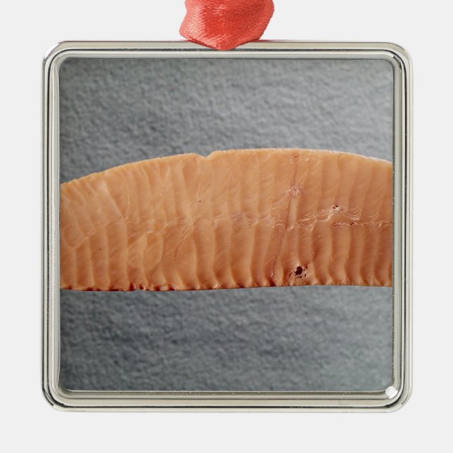 Adorno Metálico Cuchilla de cuchillo (Frente)