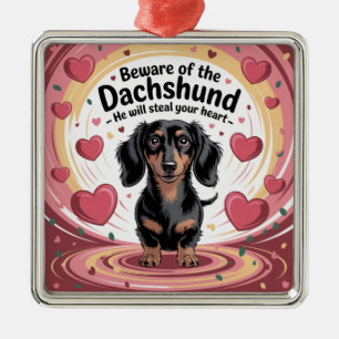 Adorno Metálico Cuidado Con El Dachshund