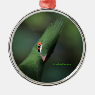 Adorno Metálico Curioso curioso Guinea Turaco Ave Verde
