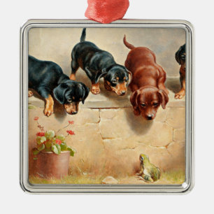 Adorno Metálico Curiosos cachorros de Dachshund y una rana