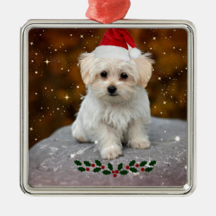 Adorno Metálico Cute Christmas Santa Claus Maltese Puppy