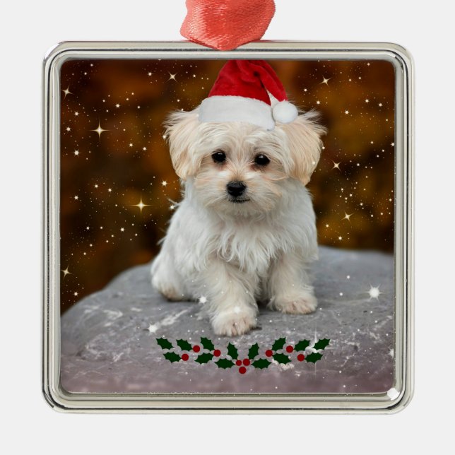 Adorno Metálico Cute Christmas Santa Claus Maltese Puppy (Frente)