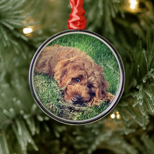 Adorno Metálico Cute Golden Doodle Premium (Árbol)