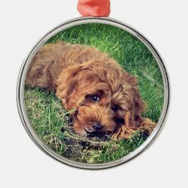 Adorno Metálico Cute Golden Doodle Premium