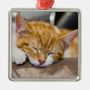 Adorno Metálico Cute Kitten