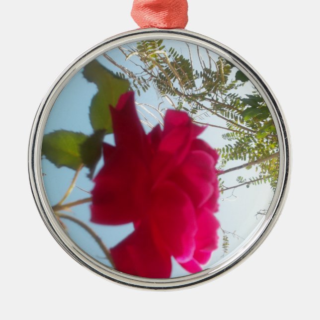 Adorno Metálico Cute Retro Hakuna Matata Gift Blue Red Green SKY (Frente)