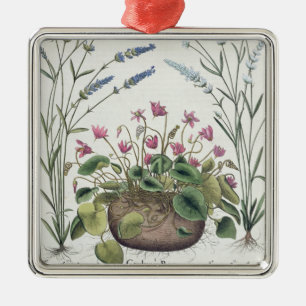 Adorno Metálico Cyclamen y lavanda: 1.Cyclamen Romanum; 2.Spica