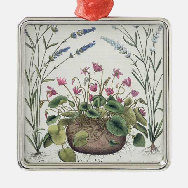 Adorno Metálico Cyclamen y lavanda: 1.Cyclamen Romanum; 2.Spica (Frente)