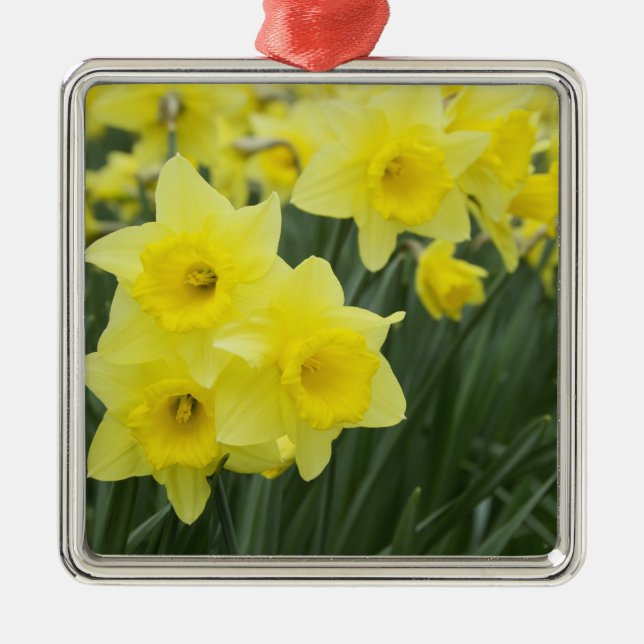 Adorno Metálico Daffodils RF) (Frente)