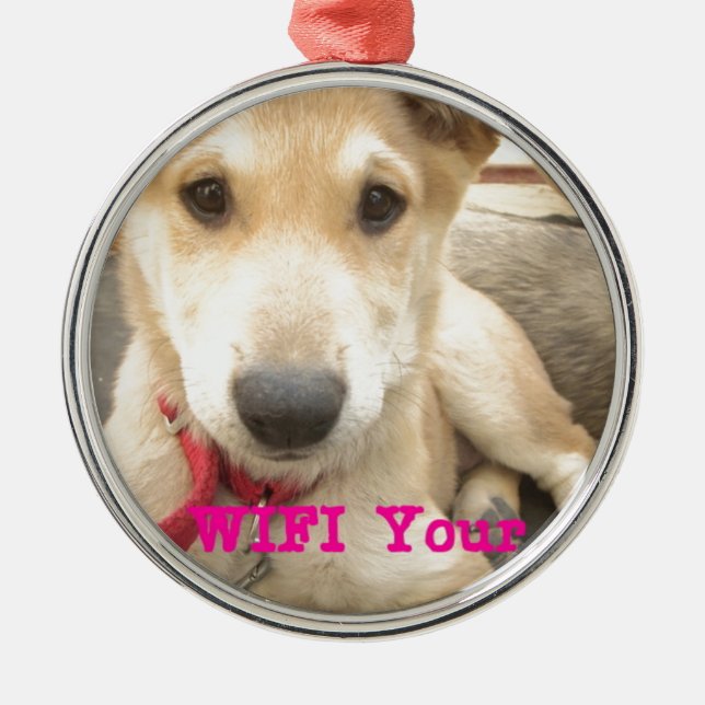 Adorno Metálico Deberías Despertar Tu Amor A Diario (Frente)