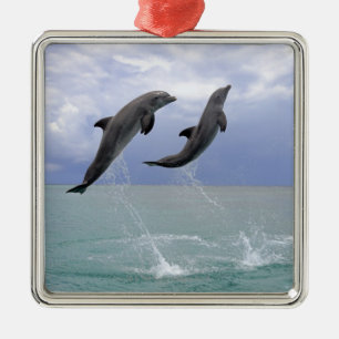 Adorno Metálico Delfínes el   Delfin (un Tuemmler más grueso)