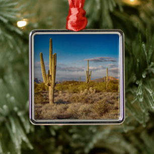 Adorno Metálico Desiertos Montañas de Superstición, Arizona