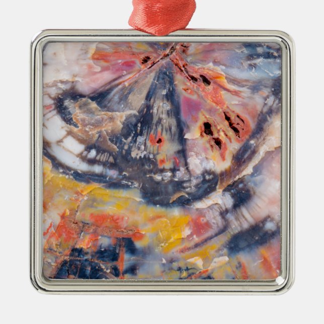 Adorno Metálico Detalle de madera Petrificada, Arizona (Frente)