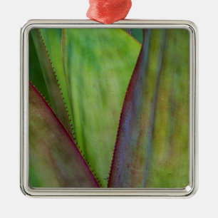 Adorno Metálico Detalle de planta agave