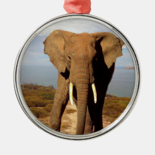 Adorno Metálico Día de la Playa del Elefante,