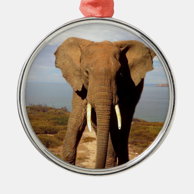 Adorno Metálico Día de la Playa del Elefante, (Frente)