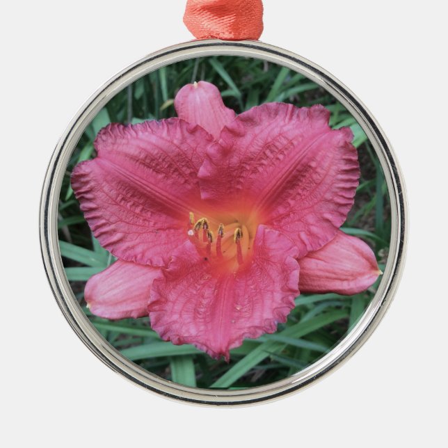 Adorno Metálico DIARIAMENTE "Pequeña Grasa Dazzler" (Frente)