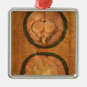 Adorno Metálico Dibujo anatómico del cerebro humano