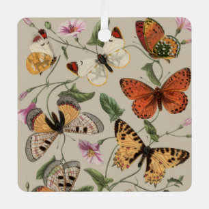 Adorno Metálico Dibujo de la Colección de Mariposas y Polillas de