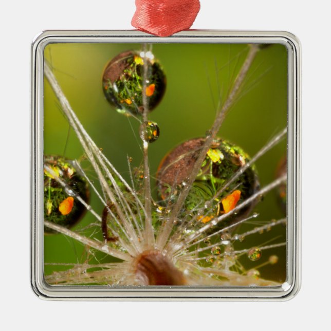 Adorno Metálico Diluetas De Agua Y Dandelión (Frente)