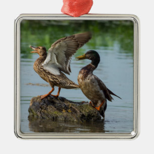 Adorno Metálico Disculpa