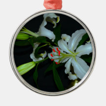 Diseño Irlandés-Colección de latón y flores