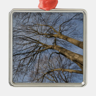 Adorno Metálico Diseño/patrón de tronco de árbol. Parque Pioine