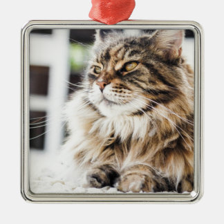 Adorno Metálico Diseño siberiano del gato persa del tabby mullido