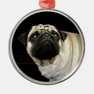 Adorno Metálico Diseños de perros para amantes del Mascota