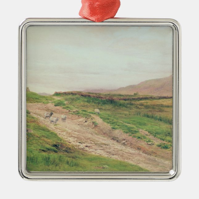 Adorno Metálico Distrito del lago (Frente)