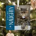 Adorno Metálico Divertido Define Naughty Mascota Photo Keepsake Gi<br><div class="desc">Este divertido adorno de navidad de sake fotográfico sería el regalo perfecto para un mascota propietario esta temporada de vacaciones. El diseño incluye una fotografía de su elección,  la divertida tipografía Define Naughty,  una tipografía linda y los nombres de los mascotas. El fondo azul puede cambiarse a cualquier color.</div>