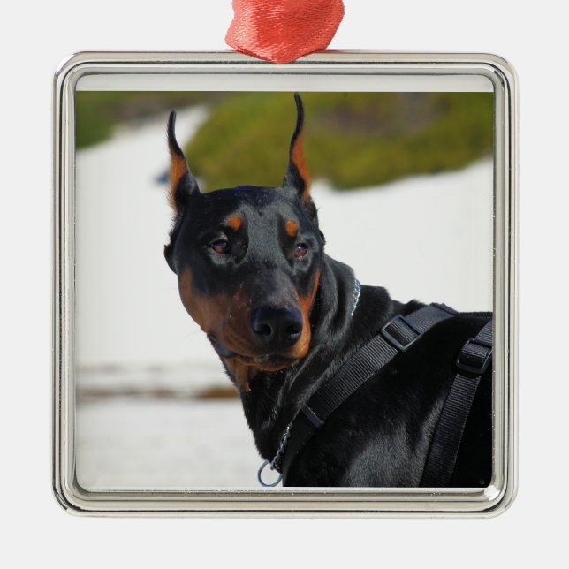 Adorno Metálico Doberman - Negro - Bogie (Frente)
