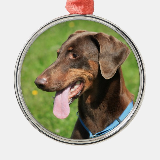 Adorno Metálico Doberman rojo (Frente)