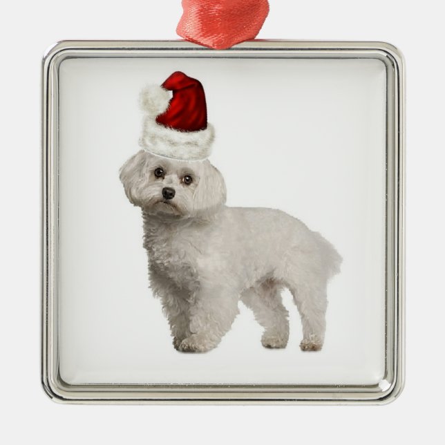 Adorno Metálico Dogs~Original Ditzy Ornament~Christmas~Maltese (Frente)
