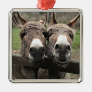 ADORNO METÁLICO ****DOLOR DE DONKEY PAIR*** ORNAMENTAL