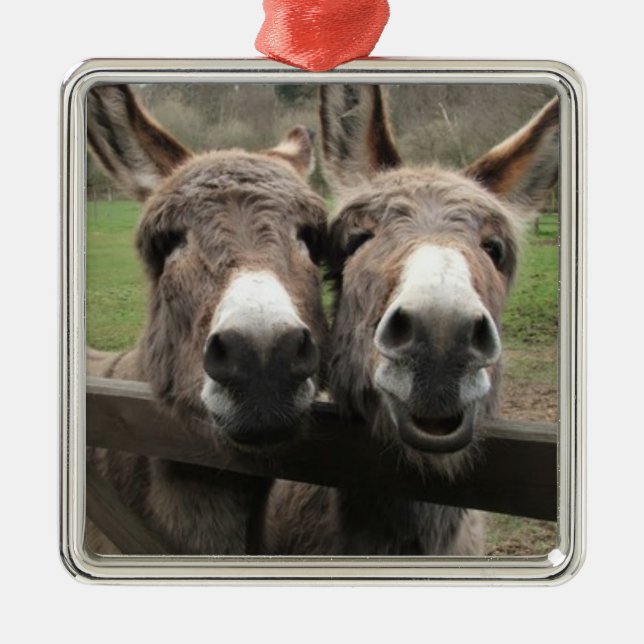 ADORNO METÁLICO ****DOLOR DE DONKEY PAIR*** ORNAMENTAL (Frente)